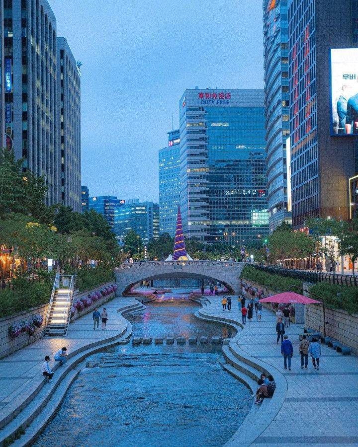 photo of kyoto shrine