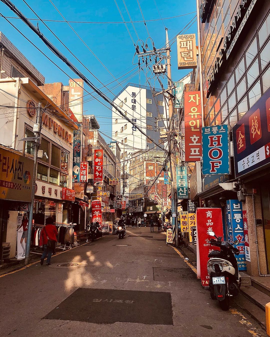 photo of kyoto shrine